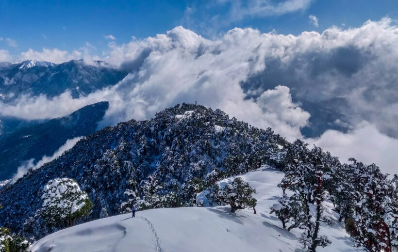 Honeymoon special Manali Volvo Package